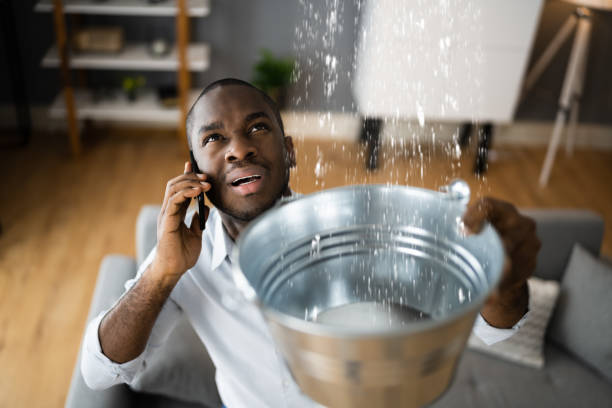 Best Water damage restoration company  in Pembroke Park, FL