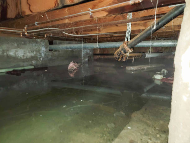 Best Fire Damage Restoration  in Pembroke Park, FL