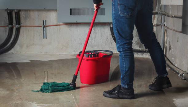 Best Water damage restoration near me  in Pembroke Park, FL
