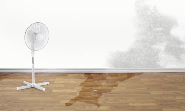 Best Sewage cleanup and water damage restoration  in Pembroke Park, FL