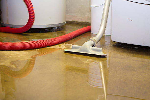 Best 24-hour water damage restoration  in Pembroke Park, FL