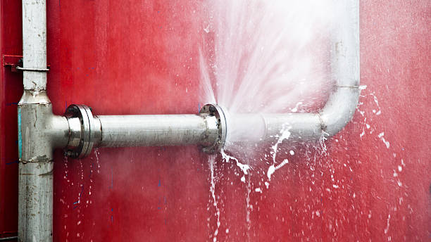 Best Water damage restoration specialists  in Pembroke Park, FL